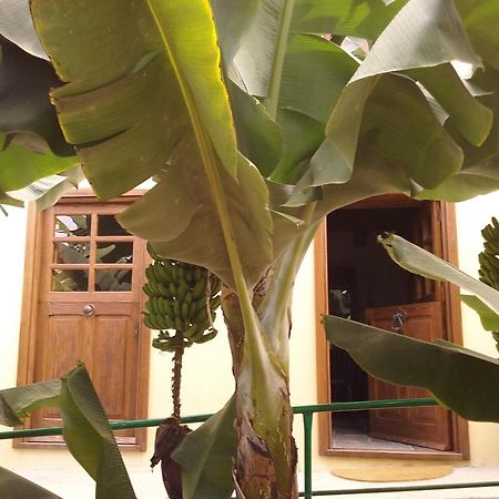 Casa Rural Llano Campo Hermigua Esterno foto